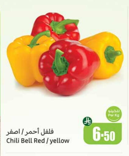 Fresh Vegetables in Othaim Markets, Saudi Arabia Offers - Saudi Arabia Chilli / Capsicum available at Othaim Markets in KSA, Saudi Arabia, Saudi - Al Qunfudhah