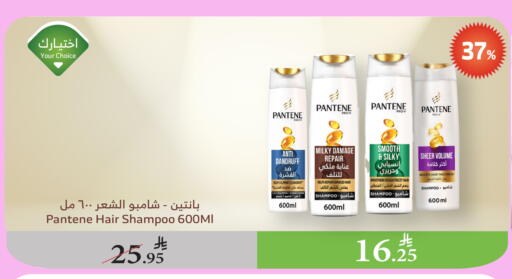 PANTENE Shampoo / Conditioner available at Al Raya in KSA, Saudi Arabia, Saudi - Najran