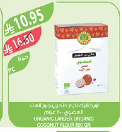 Coconut available at Farm  in KSA, Saudi Arabia, Saudi - Najran