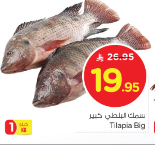 available at نستو in مملكة العربية السعودية, السعودية, سعودية - الرياض