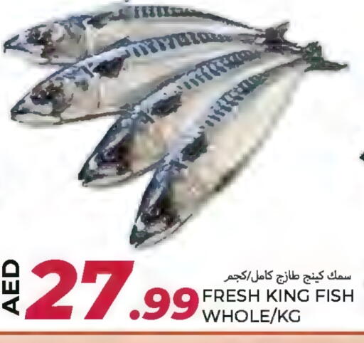سمك ملكي available at  روابي ماركت عجمان in الإمارات العربية المتحدة , الامارات - الشارقة / عجمان