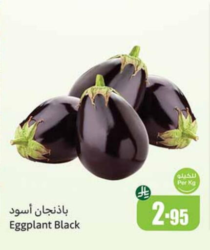 Fresh Vegetables in Othaim Markets, Saudi Arabia Offers - Saudi Arabia Eggplant available at Othaim Markets in KSA, Saudi Arabia, Saudi - Al Qunfudhah