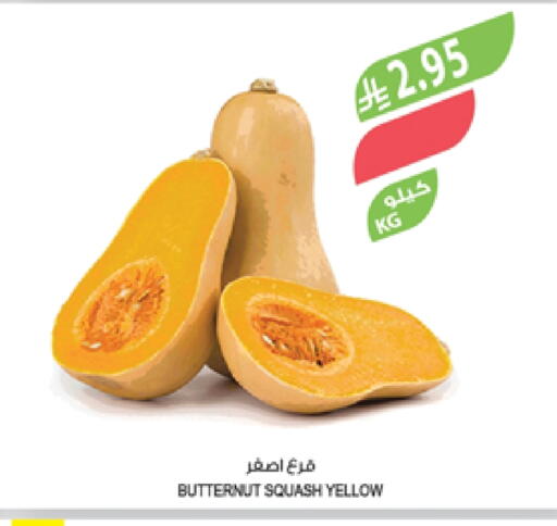 Squash available at Farm  in KSA, Saudi Arabia, Saudi - Al Hasa