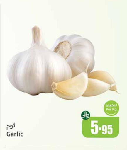 Garlic available at Othaim Markets in KSA, Saudi Arabia, Saudi - Unayzah