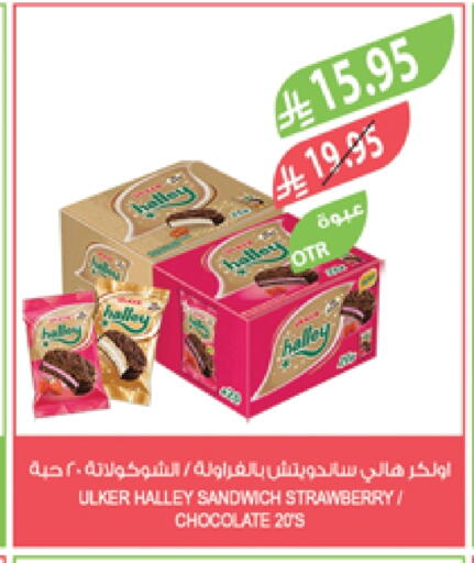 Strawberry available at Farm  in KSA, Saudi Arabia, Saudi - Al Khobar