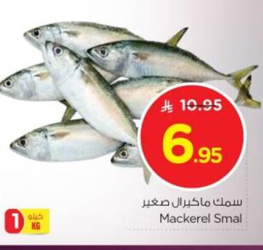available at نستو in مملكة العربية السعودية, السعودية, سعودية - الرياض