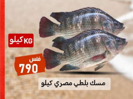 available at شركة سوق ميم المركزي  in الكويت - محافظة الجهراء