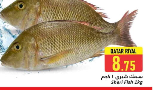 available at دانة هايبرماركت in قطر - أم صلال