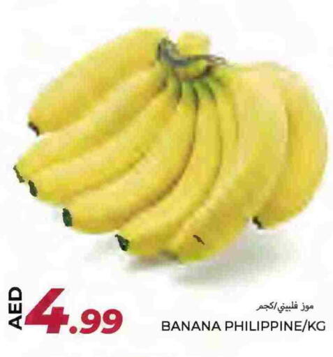 موز from Philippines available at  روابي ماركت عجمان in الإمارات العربية المتحدة , الامارات - الشارقة / عجمان