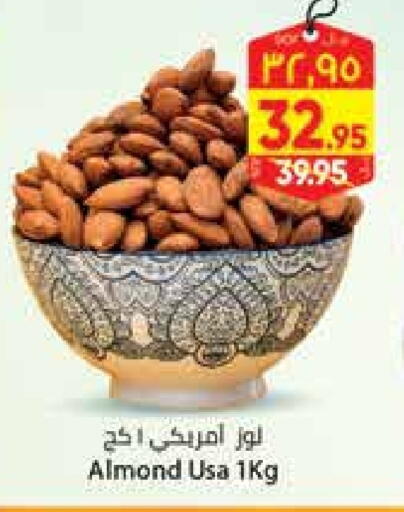 available at City Flower in KSA, Saudi Arabia, Saudi - Hail