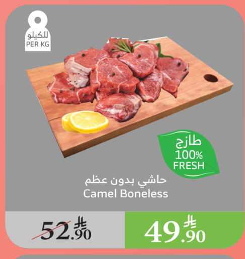 لحم حاشي available at الراية in مملكة العربية السعودية, السعودية, سعودية - تبوك