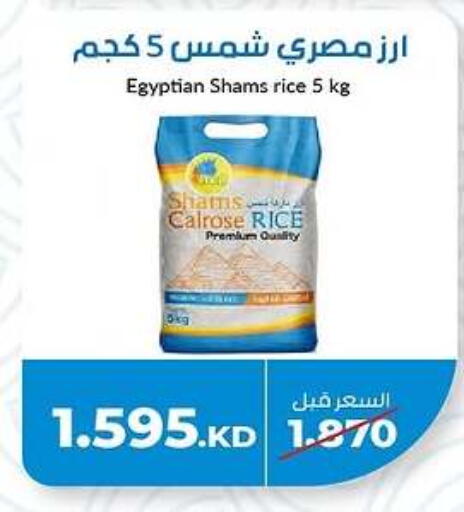 Sham Rice SHAMS Calrose Rice in 4 SaveMart Kuwait - Kuwait City | D4D Online