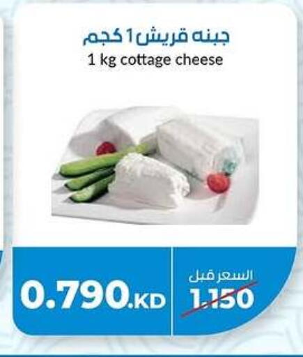 جبنة القريش available at جمعية خيطان التعاونية in الكويت - محافظة الأحمدي