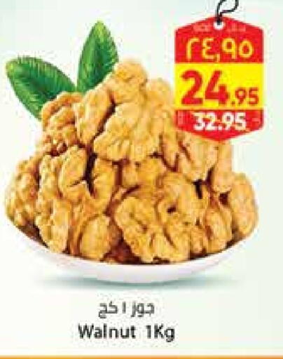 available at City Flower in KSA, Saudi Arabia, Saudi - Hail