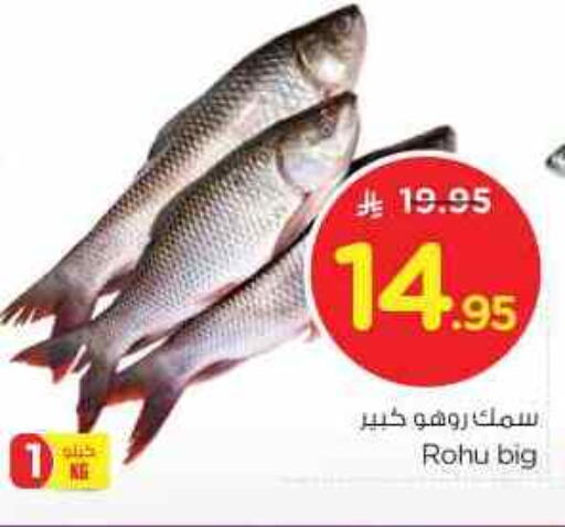 available at نستو in مملكة العربية السعودية, السعودية, سعودية - الرياض