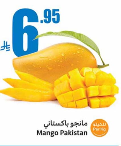 Mango from Pakistan available at Othaim Markets in KSA, Saudi Arabia, Saudi - Najran