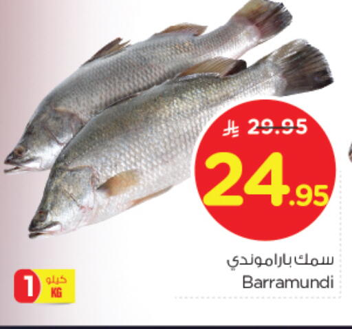 available at نستو in مملكة العربية السعودية, السعودية, سعودية - الرياض