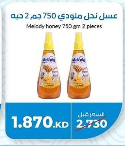 عسل available at جمعية خيطان التعاونية in الكويت - محافظة الجهراء