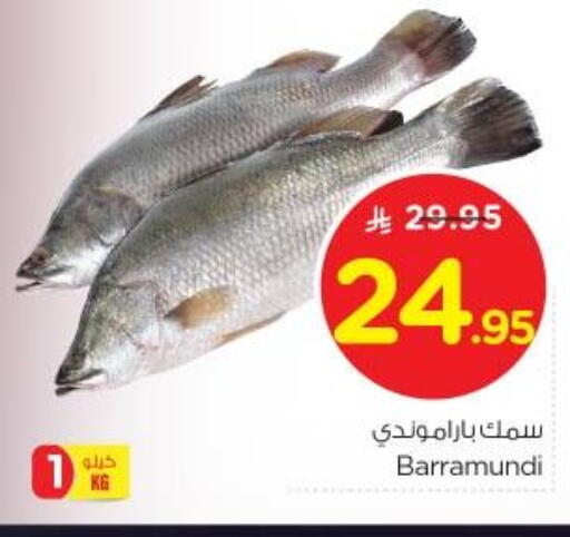 available at نستو in مملكة العربية السعودية, السعودية, سعودية - الرياض