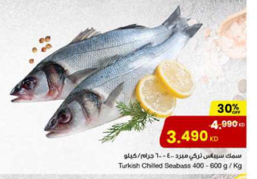 available at مركز سلطان in الكويت - محافظة الجهراء