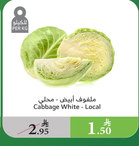 Fresh Vegetables in Al Raya, Saudi Arabia Offers - Saudi Arabia Cabbage available at Al Raya in KSA, Saudi Arabia, Saudi - Al Qunfudhah