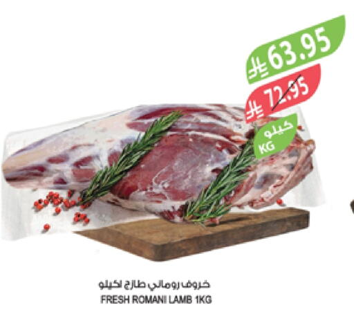 Mutton / Lamb available at Farm  in KSA, Saudi Arabia, Saudi - Al-Kharj