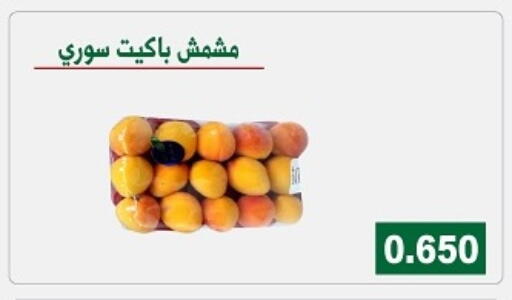 from Kuwait available at Kuwait National Guard Society in Kuwait - Kuwait City