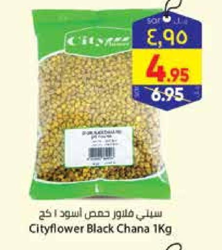 available at City Flower in KSA, Saudi Arabia, Saudi - Hail