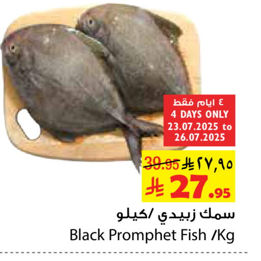 available at Layan Hyper in KSA, Saudi Arabia, Saudi - Dammam