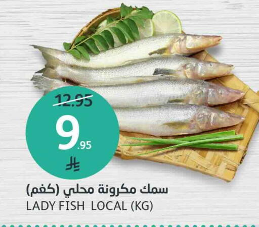 available at مركز الجزيرة للتسوق in مملكة العربية السعودية, السعودية, سعودية - الرياض