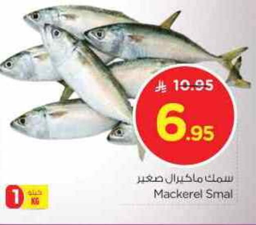 available at نستو in مملكة العربية السعودية, السعودية, سعودية - الرياض