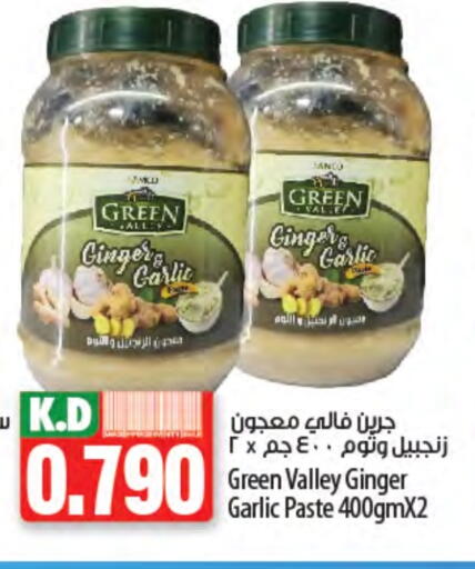 Garlic Paste available at Mango Hypermarket  in Kuwait - Ahmadi Governorate