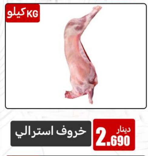 available at Meem Central Market Co in Kuwait - Jahra Governorate