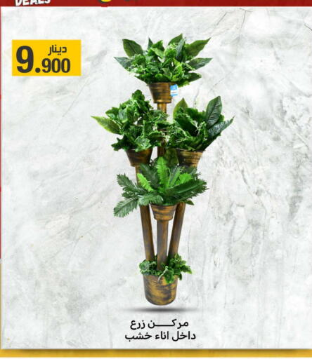 Home Furnishing & Decor in Meem Central Market Co, Kuwait Offers - Kuwait available at Meem Central Market Co in Kuwait - Kuwait City