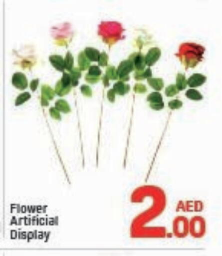 available at Day to Day Department Store in UAE - Dubai