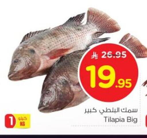 available at نستو in مملكة العربية السعودية, السعودية, سعودية - الرياض