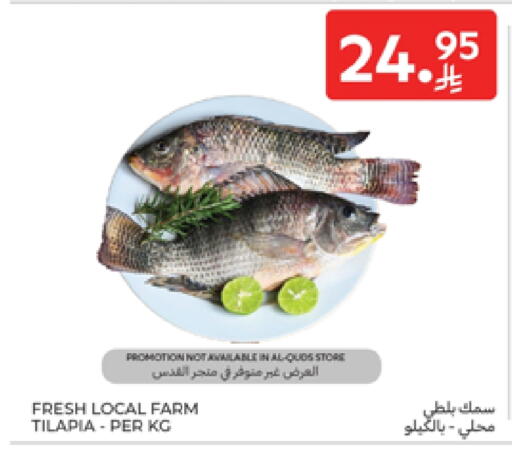 available at كارفور in مملكة العربية السعودية, السعودية, سعودية - المدينة المنورة