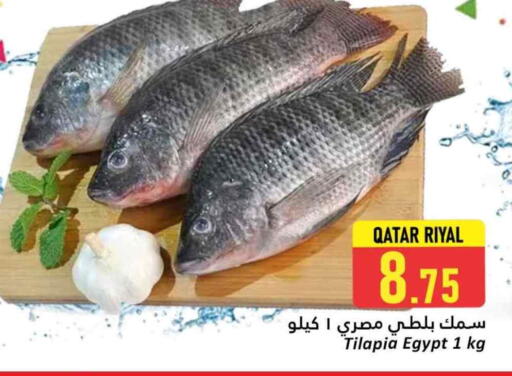 available at دانة هايبرماركت in قطر - أم صلال