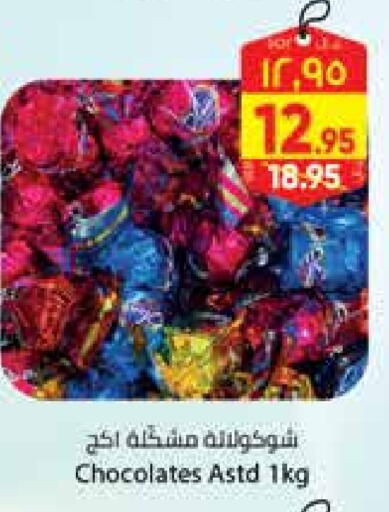available at City Flower in KSA, Saudi Arabia, Saudi - Hail