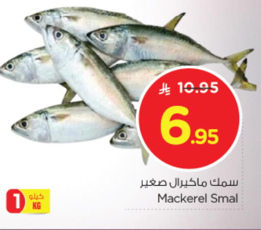 available at نستو in مملكة العربية السعودية, السعودية, سعودية - الرياض