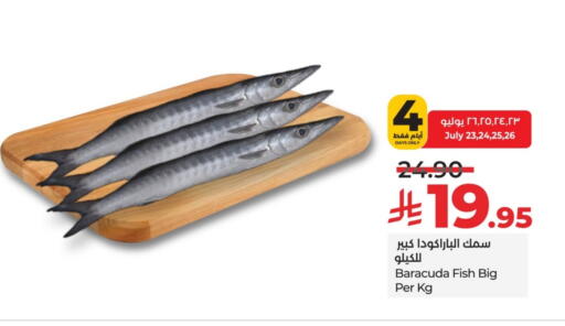 available at لولو هايبرماركت in مملكة العربية السعودية, السعودية, سعودية - حائل‎