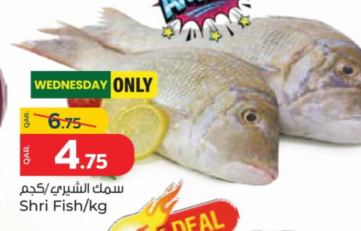 available at باريس هايبرماركت in قطر - أم صلال