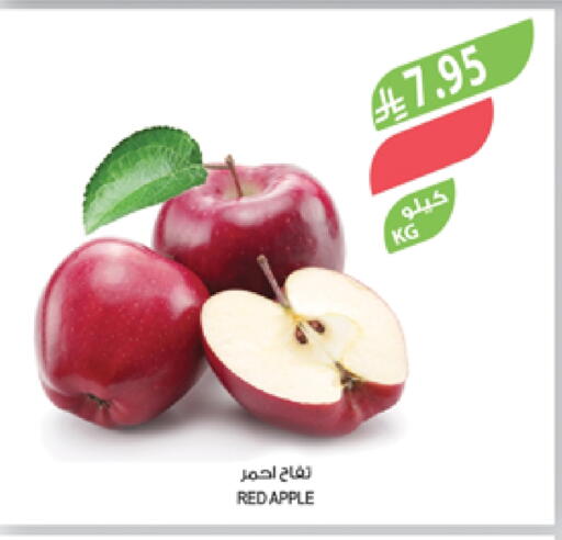 Apples available at Farm  in KSA, Saudi Arabia, Saudi - Sakaka