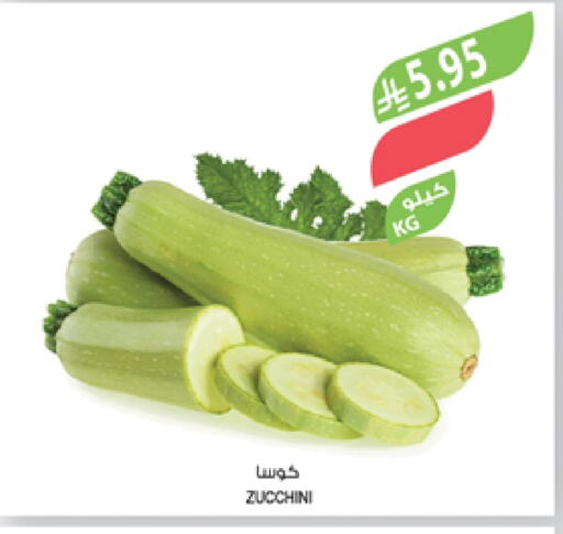 Zucchini available at Farm  in KSA, Saudi Arabia, Saudi - Al Hasa