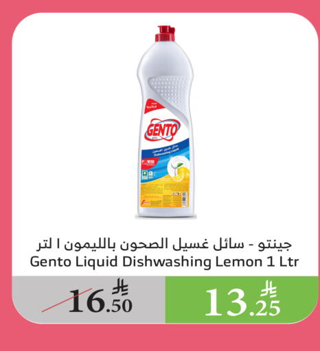 GENTO available at Al Raya in KSA, Saudi Arabia, Saudi - Al Bahah