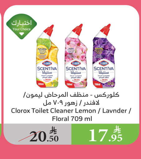 CLOROX Toilet / Drain Cleaner in Ala Kaifak KSA, Saudi Arabia, Saudi ...