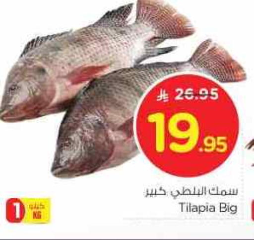 available at نستو in مملكة العربية السعودية, السعودية, سعودية - الرياض