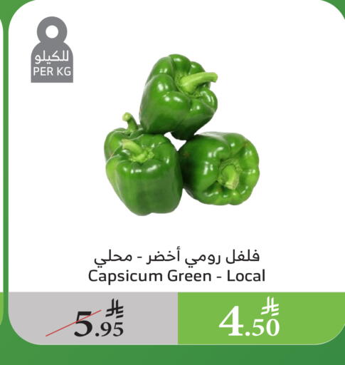 Fresh Vegetables in Al Raya, Saudi Arabia Offers - Saudi Arabia Chilli / Capsicum available at Al Raya in KSA, Saudi Arabia, Saudi - Al Qunfudhah
