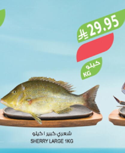 available at المزرعة in مملكة العربية السعودية, السعودية, سعودية - سيهات