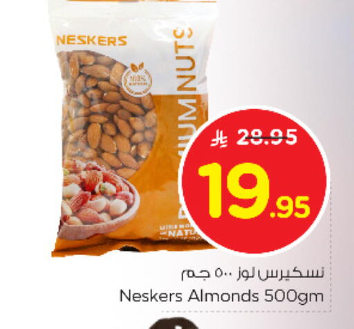 available at نستو in مملكة العربية السعودية, السعودية, سعودية - المجمعة